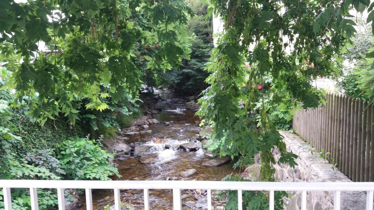 Appartement An Der Radau Bad Harzburg Eksteriør billede
